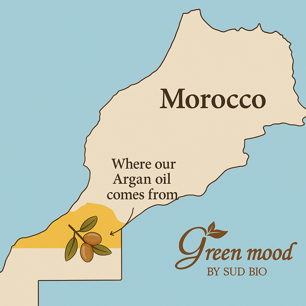 Origin of Pure Moroccan Argan Oil — Argania Spinosa tree from southern Morocco