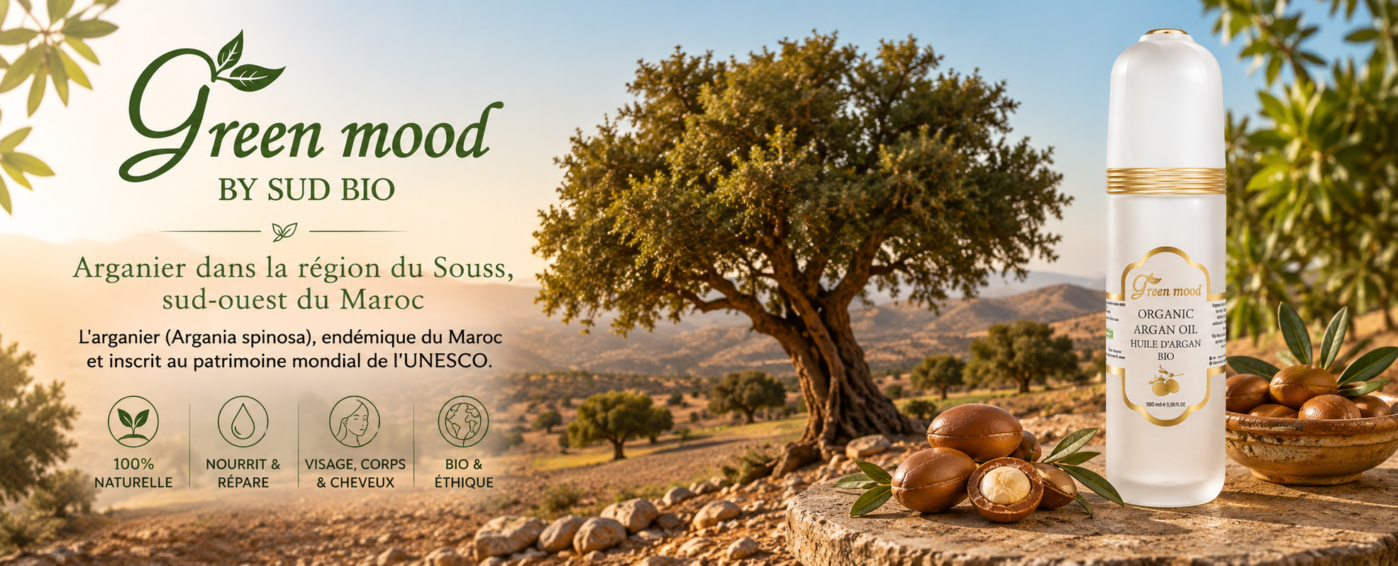 Arganier dans la région du Souss, sud-ouest du Maroc